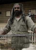 twd1110_scnet_0418.jpg