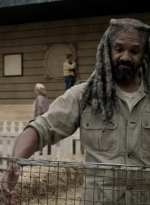 twd1110_scnet_0419.jpg