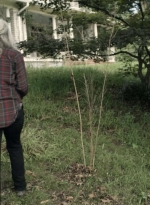 twd1110_scnet_0887.jpg