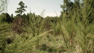 twd1113_scnet_0005.jpg