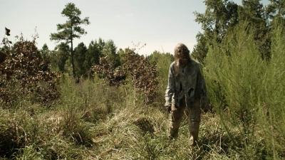 twd1113_scnet_0013.jpg