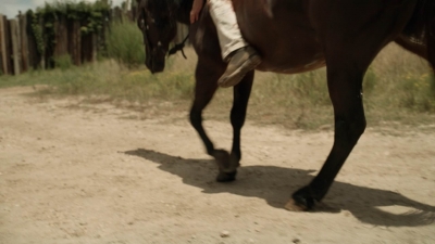 twd1113_scnet_0148.jpg