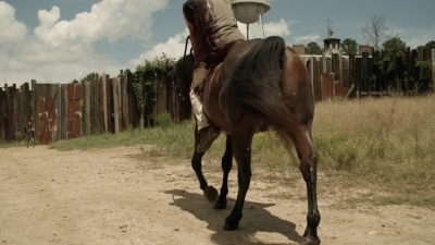 twd1113_scnet_0151.jpg