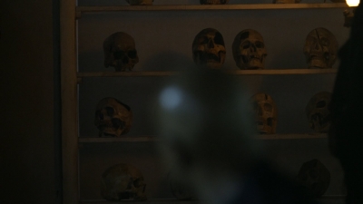 twd1113_scnet_1762.jpg