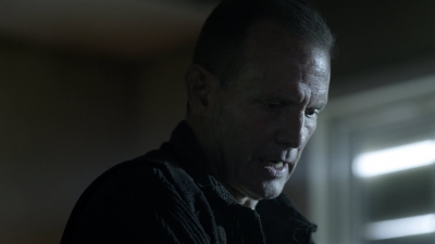 twd1113_scnet_2015.jpg