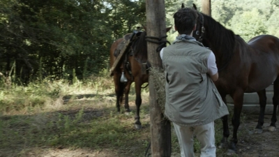 twd1113_scnet_2562.jpg
