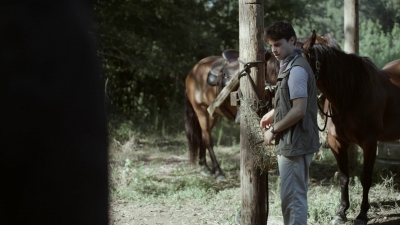 twd1113_scnet_2580.jpg