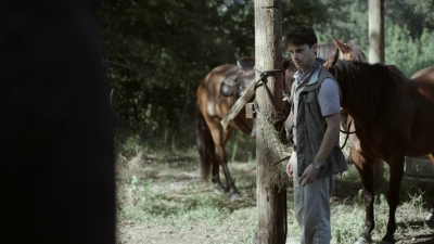 twd1113_scnet_2581.jpg