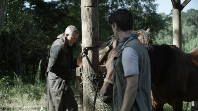 twd1113_scnet_2611.jpg