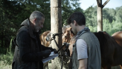 twd1113_scnet_2615.jpg
