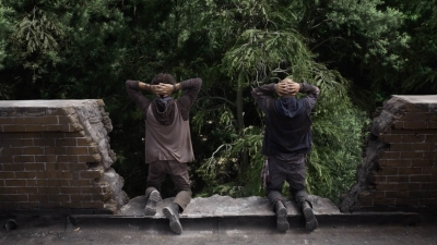 twd1113_scnet_2773.jpg