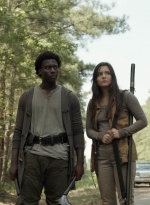 twd1113_scnet_2527.jpg
