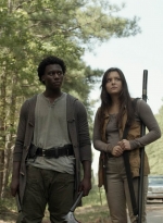 twd1113_scnet_2528.jpg