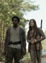 twd1113_scnet_2529.jpg