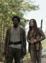 twd1113_scnet_2530.jpg