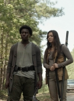 twd1113_scnet_2531.jpg