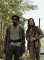 twd1113_scnet_2532.jpg