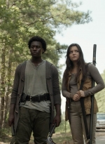 twd1113_scnet_2533.jpg