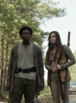 twd1113_scnet_2534.jpg