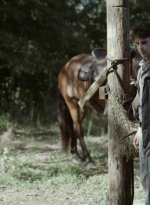 twd1113_scnet_2581.jpg