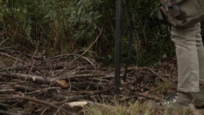 twd1116_scnet_0555.jpg