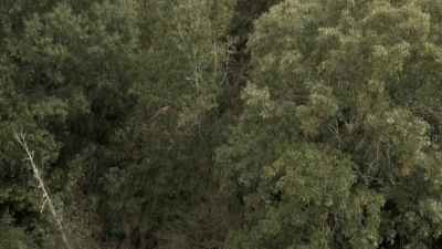 twd1116_scnet_0775.jpg