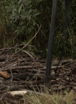 twd1116_scnet_0554.jpg