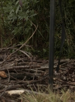 twd1116_scnet_0555.jpg
