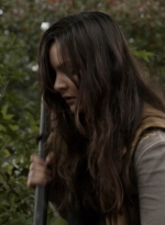 twd1116_scnet_0556.jpg