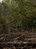 twd1116_scnet_0563.jpg