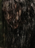 twd1116_scnet_1086.jpg