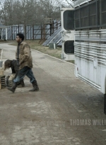 twd1123_scnet_0136.jpg