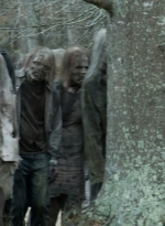 twd1123_scnet_1398.jpg