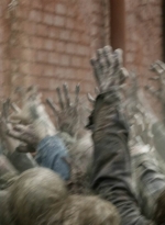 twd1124_scnet_0845.jpg