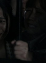 twd1124_scnet_1569.jpg