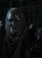 twd1124_scnet_1680.jpg