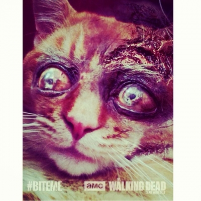 twd-instagram-00070.jpg