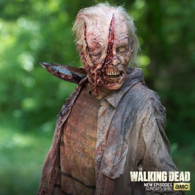 twd-instagram-01090.jpg