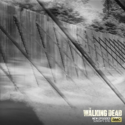 twd-instagram-01206.jpg