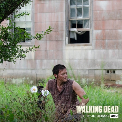 twd-instagram-01471.jpg