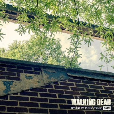 twd-instagram-01577.jpg