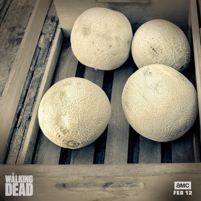 twd-instagram-01799.jpg