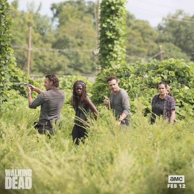 twd-instagram-01800.jpg