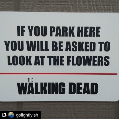 twd-instagram-01813.jpg