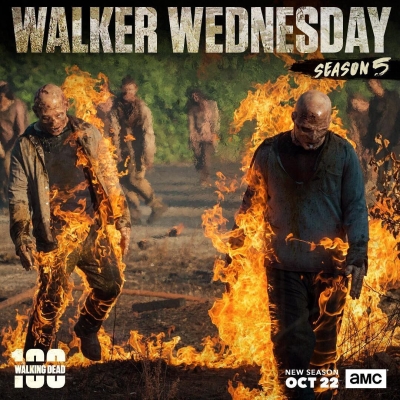 twd-instagram-02088.jpg