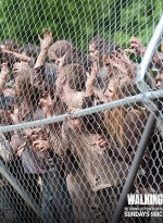 twd-instagram-00713.jpg