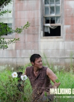 twd-instagram-01471.jpg