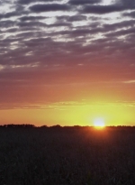 worldbeyond102_scnet_1482.jpg