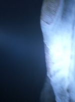 worldbeyond206_scnet_1326.jpg