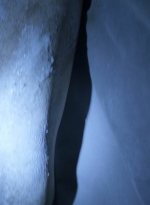 worldbeyond206_scnet_1336.jpg